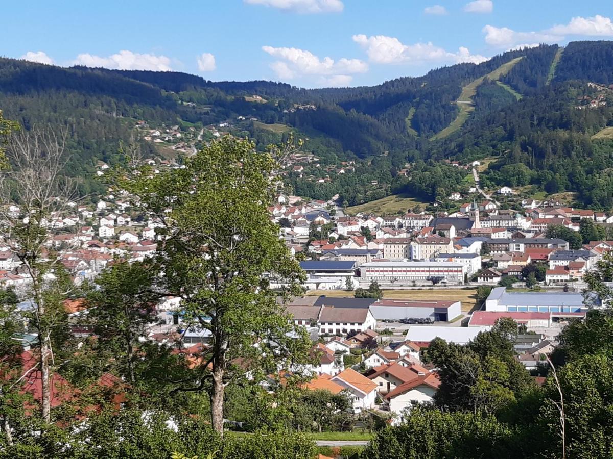 Studio Les Bleuets Gérardmer Εξωτερικό φωτογραφία