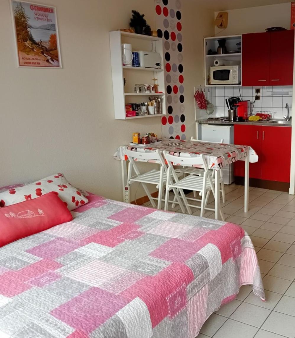 Studio Les Bleuets Gérardmer Εξωτερικό φωτογραφία