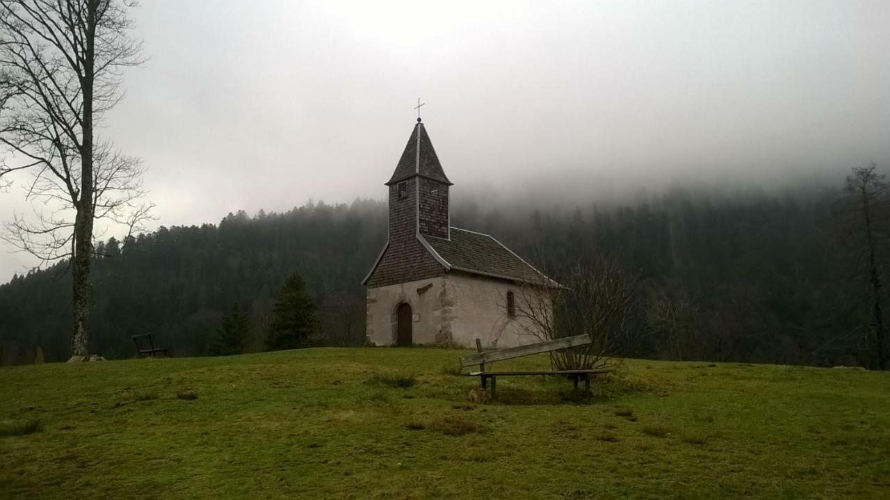 Studio Les Bleuets Gérardmer Εξωτερικό φωτογραφία