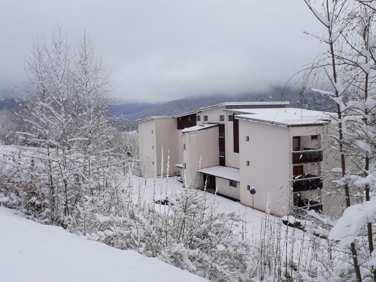 Studio Les Bleuets Gérardmer Εξωτερικό φωτογραφία