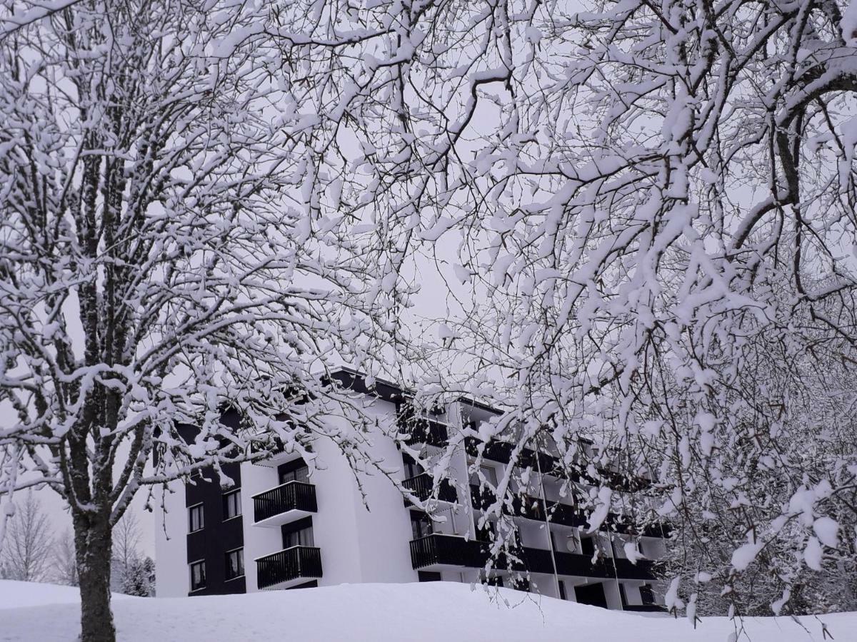 Studio Les Bleuets Gérardmer Εξωτερικό φωτογραφία