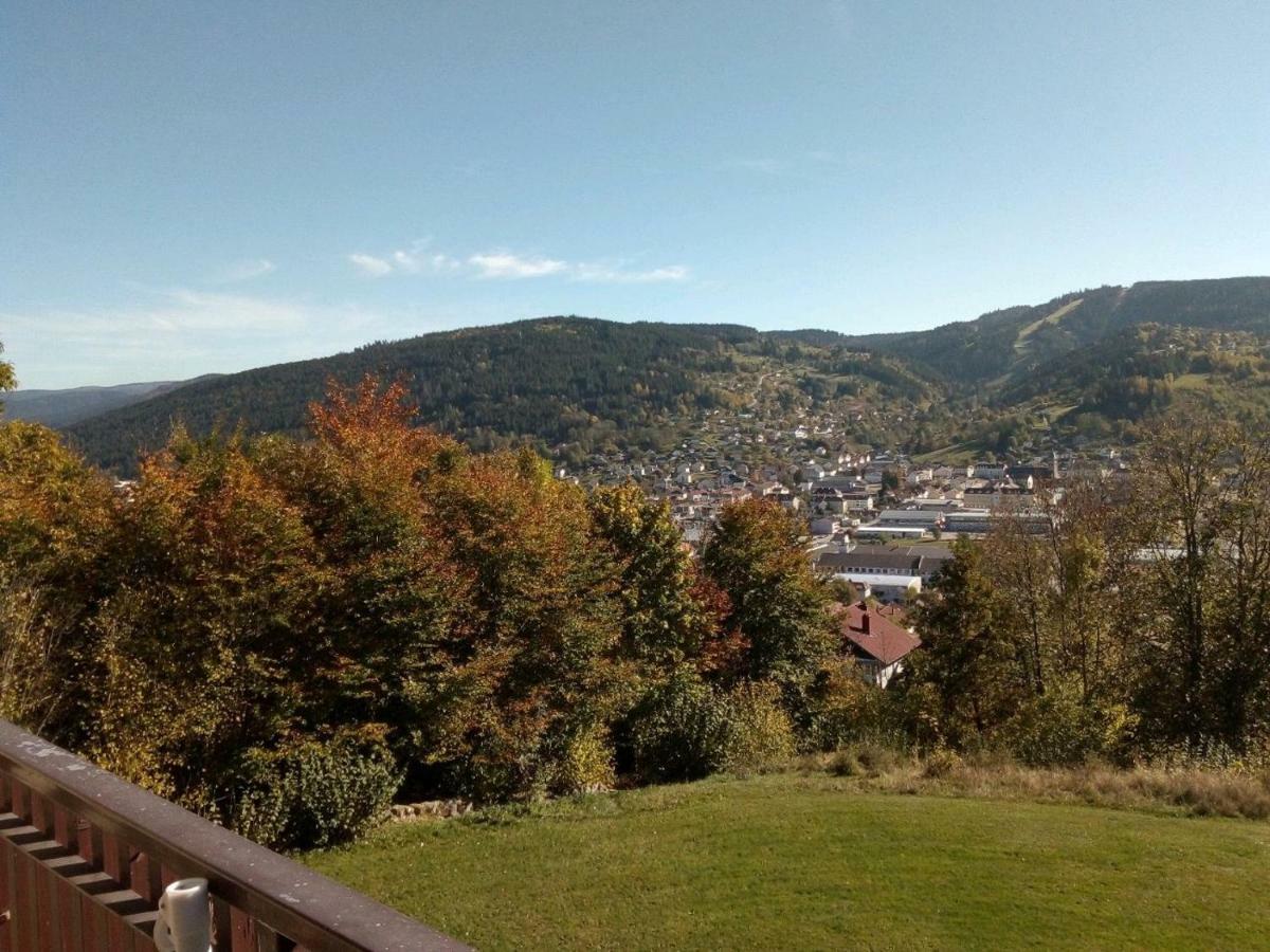 Studio Les Bleuets Gérardmer Εξωτερικό φωτογραφία